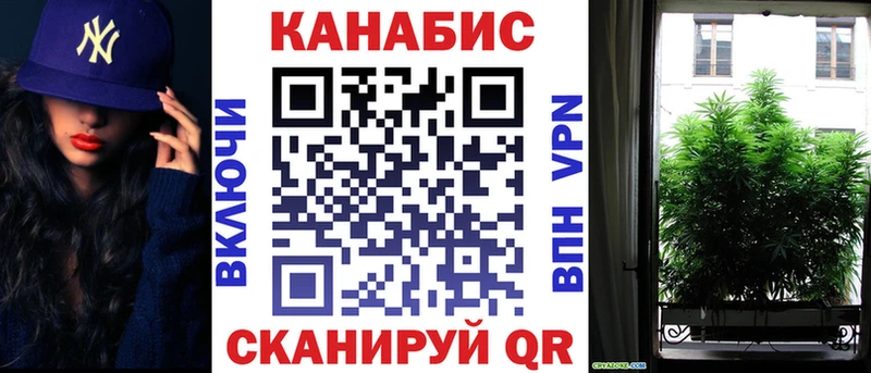 Шишки марихуана план  Вяземский 